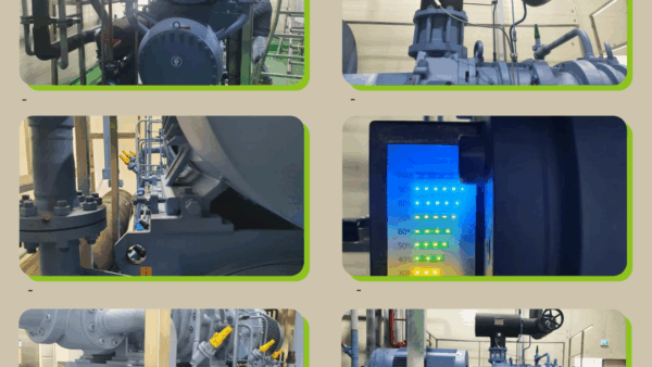 Major Supply Records - Cold Storage Solutions - 2020 Wooyang Frozen Food