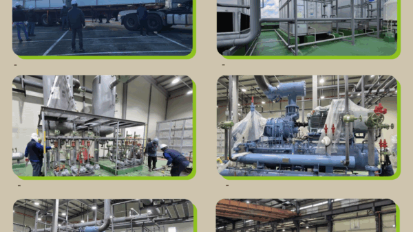 Major Supply Records - Cold Storage Solutions - 2024 Haitai Ice Cream